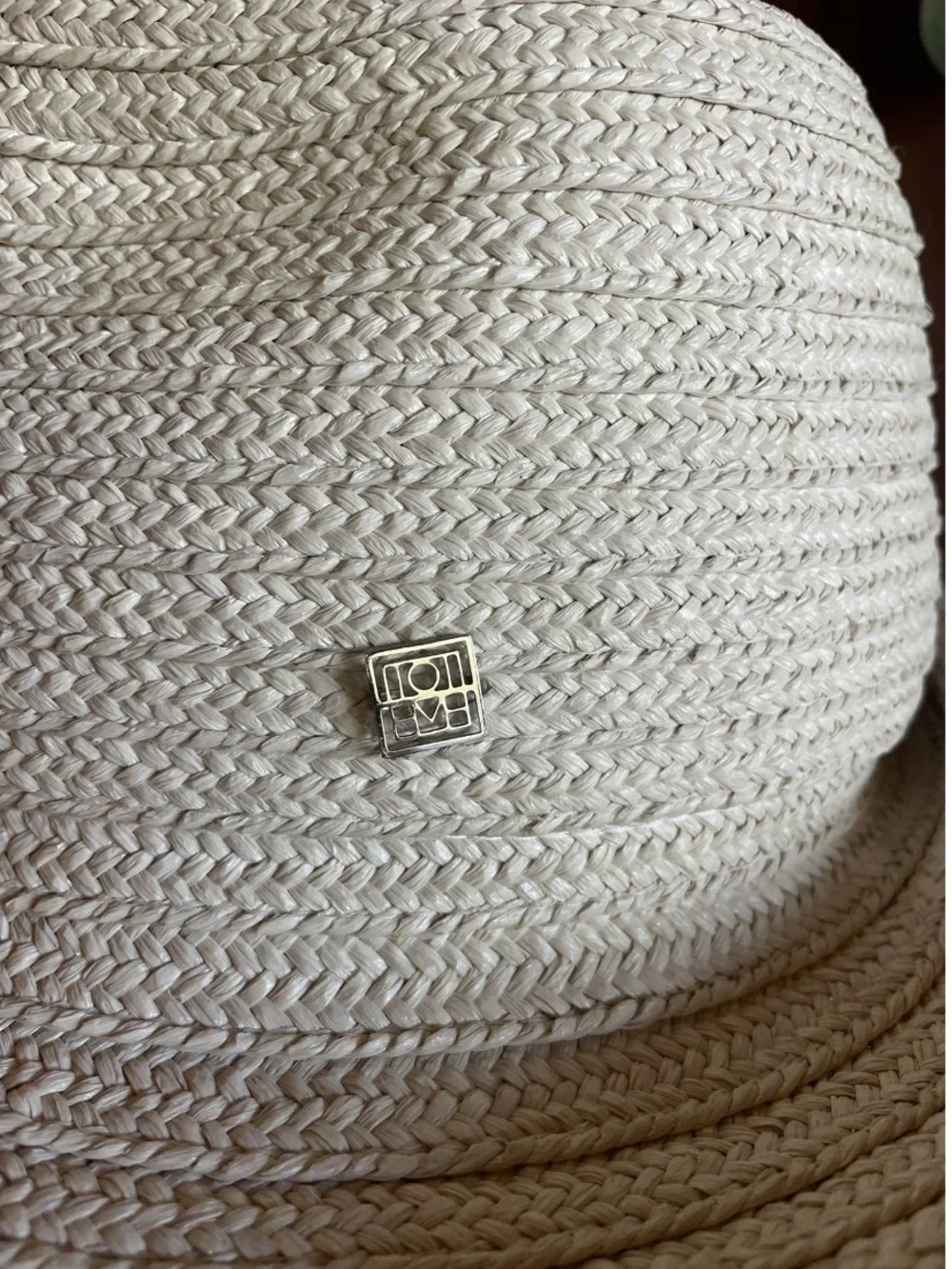 Toteme Off-white Raffia Panama Hat